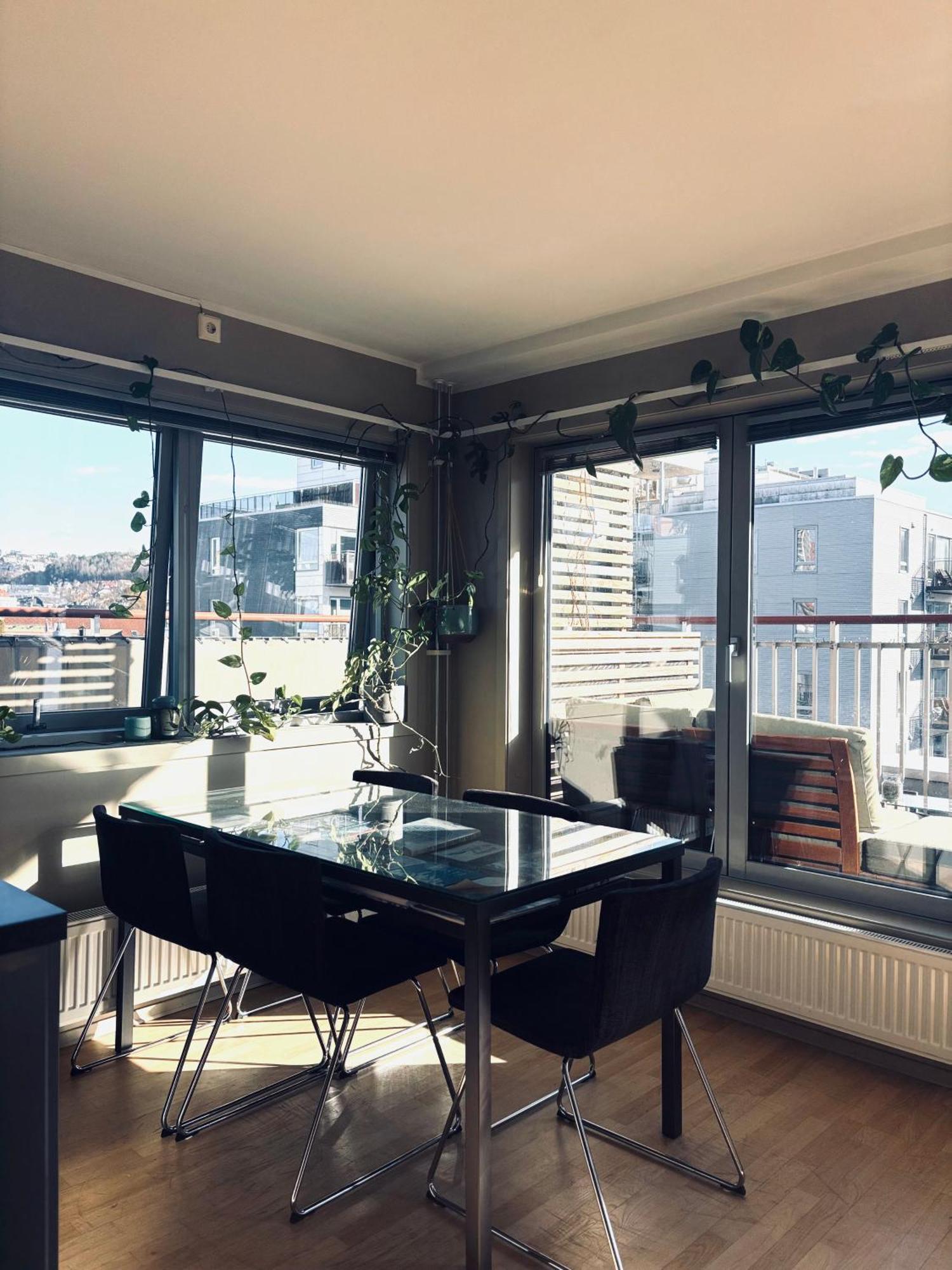 Penthouse Chimera Eiendom Apartment