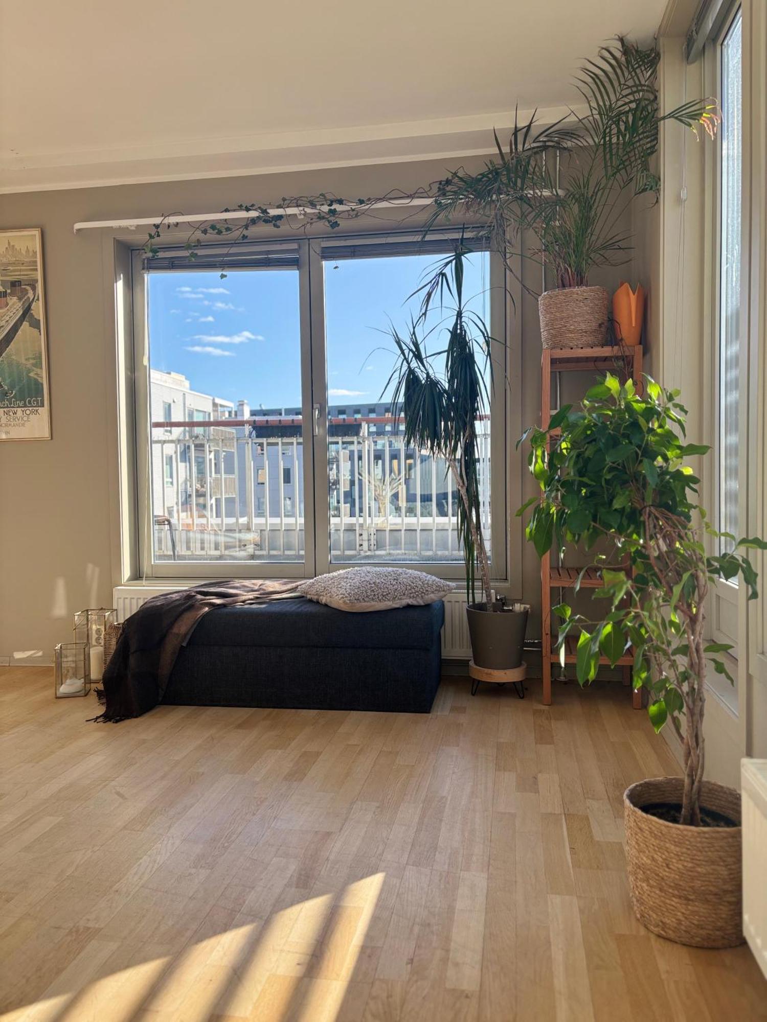 Penthouse Chimera Eiendom
